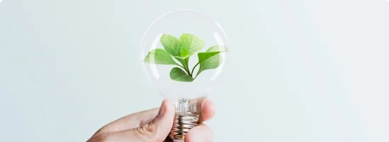 Empresa socialmente responsable
