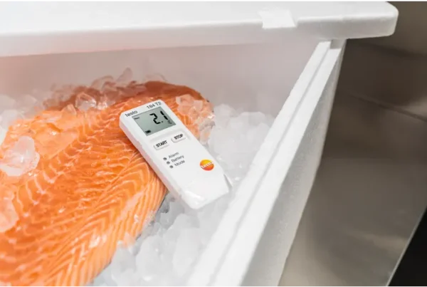 testo 184 T2 - registrador de datos de temperatura para la supervisión del transporte - Image 3